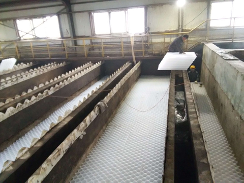 我公司蜂窝斜管沉淀池施工现场